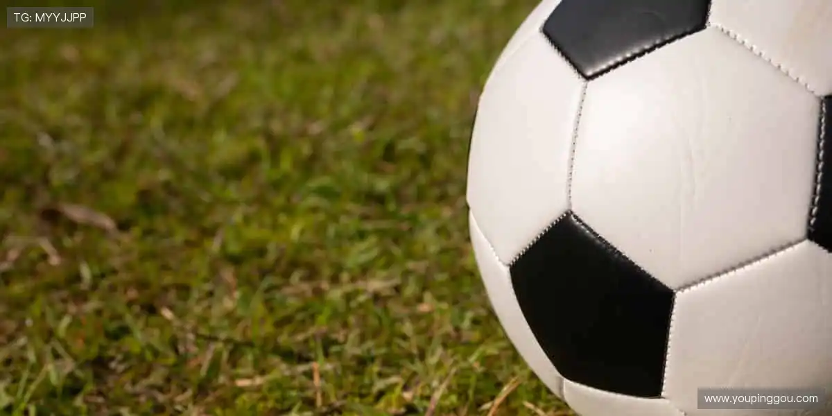 全能娱乐互动阵地:高清所有视讯热门,精彩永相伴时刻